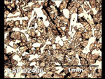 Thin Section Photograph of Sample LAP 02436 in Plane-Polarized Light