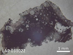 Thin Section Photo of Sample LAP 031022 in Reflected Light with  Magnification