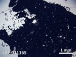 Thin Section Photo of Sample LAP 031165 in Plane-Polarized Light with 5X Magnification