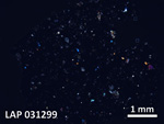 Thin Section Photo of Sample LAP 031299 in Cross-Polarized Light with  Magnification