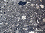 Thin Section Photo of Sample LAP 03784 in Plane-Polarized Light with  Magnification