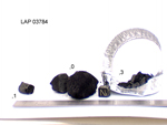Lab Photo of Sample LAP 03784 Showing Splits