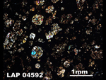 Thin Section Photo of Sample LAP 04592  in Cross-Polarized Light