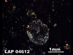 Thin Section Photo of Sample LAP 04612  in Cross-Polarized Light