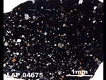 Thin Section Photo of Sample LAP 04675  in Plane-Polarized Light