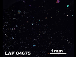 Thin Section Photo of Sample LAP 04675  in Cross-Polarized Light