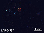 Thin Section Photo of Sample LAP 04757 in Cross-Polarized Light with 5X Magnification