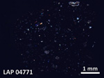 Thin Section Photo of Sample LAP 04771 in Cross-Polarized Light with  Magnification