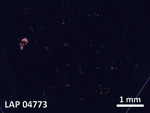 Thin Section Photo of Sample LAP 04773 in Cross-Polarized Light with  Magnification