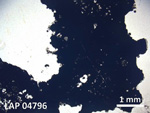 Thin Section Photo of Sample LAP 04796 in Plane-Polarized Light with  Magnification