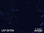 Thin Section Photo of Sample LAP 04796 in Cross-Polarized Light with  Magnification