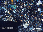 Thin Section Photograph of Sample LAP 10018 in Cross-Polarized Light