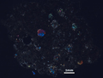 Thin Section Photo of Sample LAP 10030 at 1.25X Magnification in Cross-Polarized Light