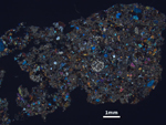 Thin Section Photo of Sample LAP 10031 at 1.25X Magnification in Cross-Polarized Light