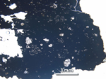Thin Section Photo of Sample LAP 10032 at 2.5X Magnification in Plane-Polarized Light