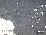 Thin Section Photo of Sample LAP 10060 in Reflected Light with 1.25X Magnification