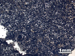 Thin Section Photo of Sample LAP 10130 in Plane-Polarized Light with 1.25X Magnification