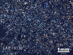 Thin Section Photo of Sample LAP 10130 in Cross-Polarized Light with 1.25X Magnification