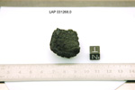 Lab Photo of Sample LAP 03126 Displaying North Orientation