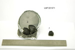 Lab Photo of Sample LAP 03137 Displaying Splits Orientation