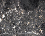 LAR 06252 Meteorite Thin Section Photo with 5x magnification in Reflected Light
