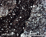 Thin Section Photograph of Sample LAR 06298 in Plane-Polarized Light
