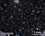 Thin Section Photograph of Sample LAR 06299 in Cross-Polarized Light