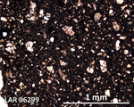 Thin Section Photograph of Sample LAR 06299 in Plane-Polarized Light