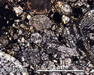 LAR 06301 Meteorite Thin Section Photo with 5x magnification in Plane-Polarized Light