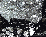 Thin Section Photograph of Sample LAR 06317 in Plane-Polarized Light