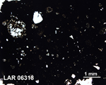 Thin Section Photograph of Sample LAR 06318 in Plane-Polarized Light