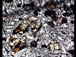 Thin Section Photograph of Sample LAR 06319 in Plane-Polarized Light