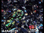 Thin Section Photograph of Sample LAR 06319 in Cross-Polarized Light