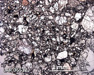 LAR 06512 Meteorite Thin Section Photo with 2.5x magnification in Plane-Polarized Light