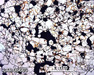 LAR 06605 Meteorite Thin Section Photo with 2.5x magnification in Plane-Polarized Light