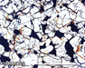 LAR 06605 Meteorite Thin Section Photo with 5x magnification in Plane-Polarized Light