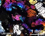 Thin Section Photograph of Sample LAR 06618 in Plane-Polarized Light