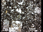 Thin Section Photo of Sample LAR 06621  in Plane-Polarized Light