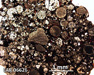 LAR 06626 Meteorite Thin Section Photo with 2.5x magnification in Plane-Polarized Light