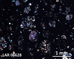 Thin Section Photograph of Sample LAR 06628 in Cross-Polarized Light