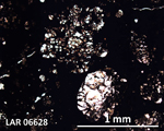 Thin Section Photograph of Sample LAR 06628 in Plane-Polarized Light