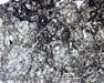 LAR 06636 Meteorite Thin Section Photo with 2.5x magnification in Plane-Polarized Light