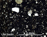 LAR 06686 Meteorite Thin Section Photo with 5x magnification in Plane-Polarized Light
