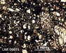 LAR 06691 Meteorite Thin Section Photo with 2.5x magnification in Plane-Polarized Light