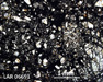 LAR 06691 Meteorite Thin Section Photo with 2.5x magnification in Cross-Polarized Light