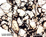 Thin Section Photograph of Sample LAR 06719 in Plane-Polarized Light