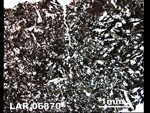 Thin Section Photo of Sample LAR 06870  in Plane-Polarized Light