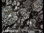 Thin Section Photo of Sample LAR 06875  in Plane-Polarized Light