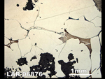 Thin Section Photo of Sample LAR 06876  in Reflected Light
