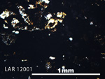 Thin Section Photo of Sample LAR 12001 in Plane-Polarized Light with 5X Magnification